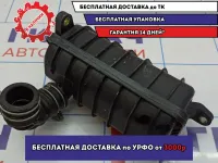 Резонатор воздушного фильтра Nissan Almera Classic (B10) 1 1658595F0A.