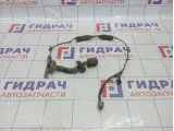 Проводка двери задней правой Nissan Almera Classic (B10) 24126-95F0C