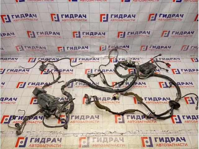 Проводка подкапотная Nissan Almera Classic (B10) 24012-95F4D