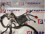 Проводка подкапотная Nissan Almera Classic (B10) 24012-95F4D
