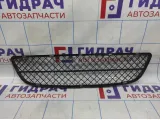 Решетка в бампер центральная Nissan Almera Classic (B10) 62256-95F0A