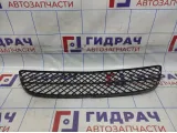 Решетка в бампер центральная Nissan Almera Classic (B10) 62256-95F0A