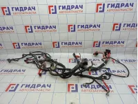Проводка подкапотная Nissan Almera (G15) .