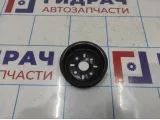 Шкив водяного насоса (помпы) Nissan Almera (N16) 21051-9F610