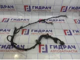 Проводка двери передней левой Nissan Almera (N16) 24124-BN906