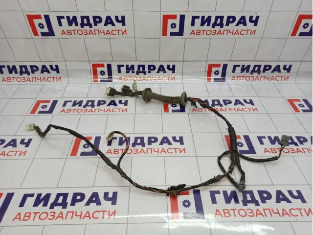 Проводка двери передней правой Nissan Almera (N16) 24125-BN904