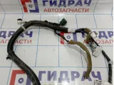 Проводка двери передней левой Nissan Juke (YF15) 24125-1KA0B