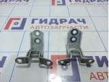 Петли двери передней левой Nissan Juke (YF15)