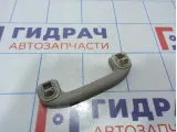 Ручка внутренняя потолочная Nissan Juke (YF15)