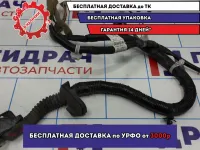 Проводка двери передней левой Nissan Juke (F15) 24125-1KA1B.