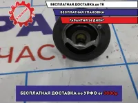 Термостат Nissan Juke (F15) 21200-ED00A.
