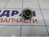 Термостат Nissan Juke (F15) 21200-ED00A.