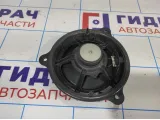 Динамик Nissan Juke (F15) 28156BR00A.