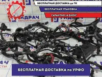 Проводка (коса) моторная Nissan Juke (F15) 24012BX82A.