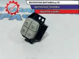 Кнопка регулировки света Nissan Leaf 252733NA0B.