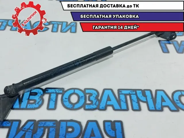 Амортизатор багажника левый Nissan Leaf 904513NA0A.