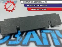 Пластик салона Nissan Leaf 969YA3NA0A.