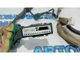 Проводка двери передней левой Nissan Leaf 241253NC0A.
