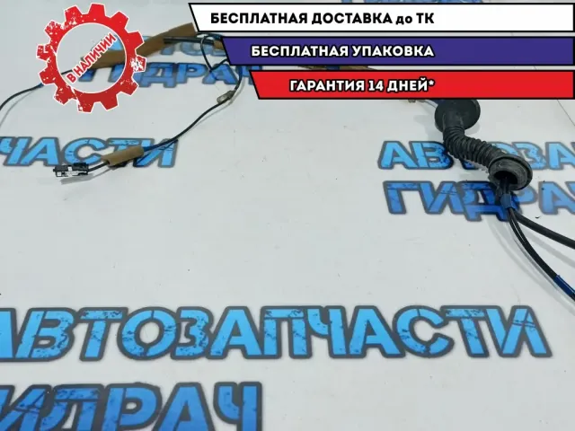 Проводка двери багажника Nissan Leaf .