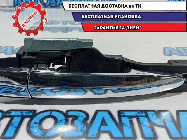 Ручка двери задней правой Nissan Leaf 806401AA0A. В сборе. Наружняя.