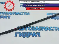 Накладка стекла двери задней левой Nissan Leaf 828213NA0B. Наружняя.
