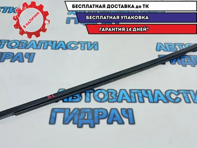 Накладка стекла двери задней левой Nissan Leaf 828213NA0B. Наружняя.