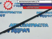 Накладка стекла двери передней правой Nissan Leaf 808203NA0B.