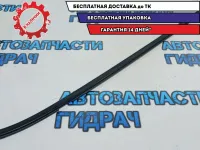Накладка стекла двери задней правой Nissan Leaf 828203NA0B. Наружняя.