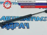Амортизатор багажника правый Nissan Leaf 904503NA0A.