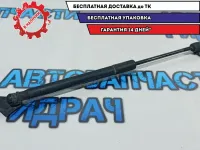 Амортизатор багажника правый Nissan Leaf 904503NA0A.