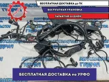 Проводка Nissan Leaf 240123NC0A. Под капот.