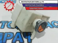 Бачок инвертора Nissan Leaf 217103NA1A.