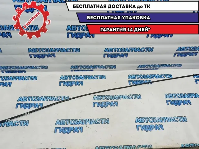 Молдинг крыши Nissan Leaf .