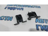 Петли двери задней левой Nissan Leaf .