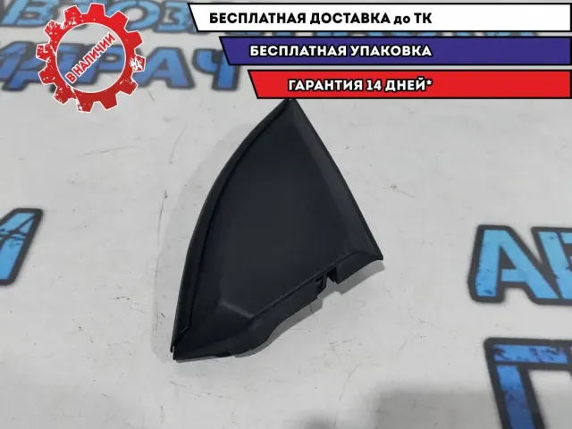 Накладка зеркала правая Nissan Leaf 802923NA0A.