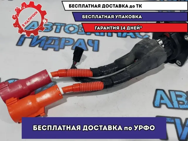 Зарядное гнездо с проводом Nissan Leaf 296B13NA1A.