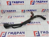 Горловина топливного бака Nissan Note 172219U000
