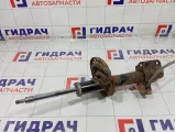 Амортизатор передний левый Nissan Note E4303BH01A