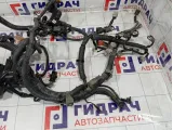 Проводка двигателя Nissan Note 24011BC21B