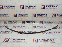 Молдинг крыши левый Nissan Note 738539U000