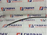 Молдинг крыши левый Nissan Note 738539U000