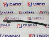Направляющая стекла двери задней левой Nissan Pathfinder 82223EA500