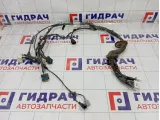 Проводка двери передней левой Nissan Pathfinder 24124EB304