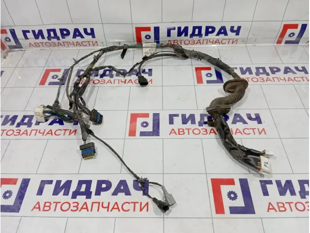 Проводка двери передней левой Nissan Pathfinder 24124EB304