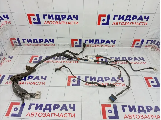 Проводка двери передней правой Nissan Pathfinder 24125EB302