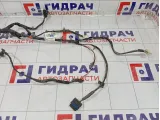 Проводка двери передней правой Nissan Pathfinder 24125EB302