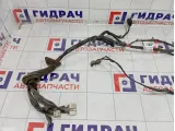 Проводка двери передней правой Nissan Pathfinder 24125EB302
