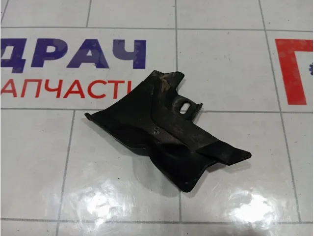 Накладка решетки стеклоочистителя правая Nissan Pathfinder 66894EB300