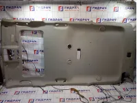 Обшивка потолка Nissan Pathfinder 73910EB905