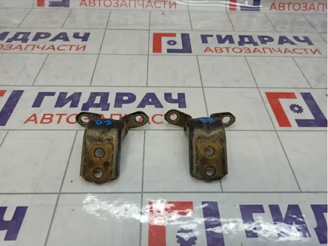 Петли двери передней правой Nissan Pathfinder